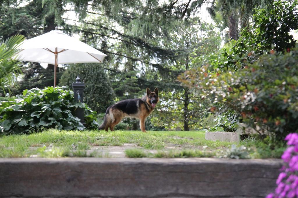 B&B Casa Carla Pinerolo Zewnętrze zdjęcie